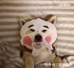 好用|便宜又好用的5款面膜,既好用又便宜,回购100次不嫌多!