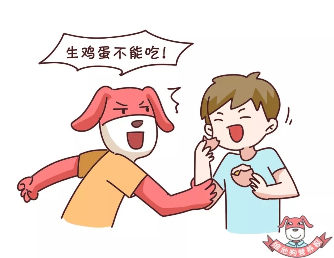 营养|土鸡蛋真的比洋鸡蛋好吗?鸡蛋怎么吃更有营养?