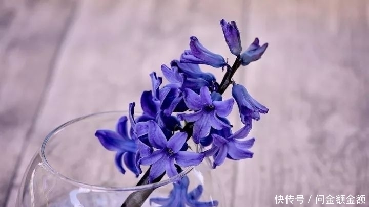 别忘了|心里再苦,日子再难,也别忘了这句话!(写得真好)