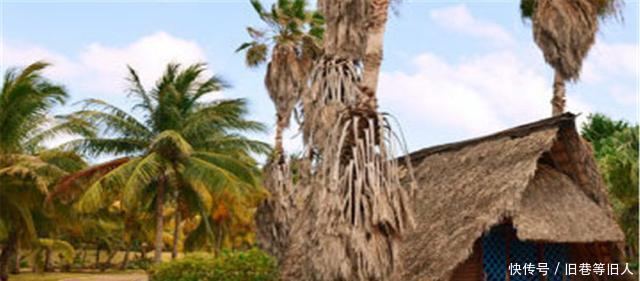  殖民地|至今世界仍有两个殖民地，殖民主求求你们独立吧，两国果断拒绝