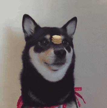 观众|搞笑GIF:此人太浪,观众都嗨了!