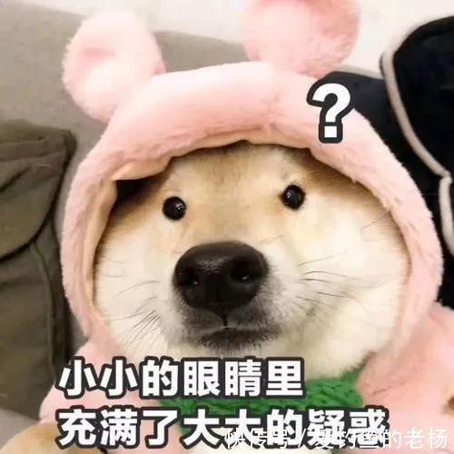  渔具被盗|禅城一小偷，竟然给事主写信“求感谢”