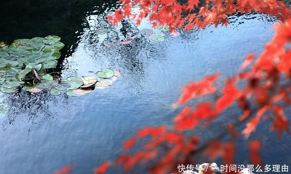  生肖|财神进门拦不住，未来33天转好运，财运大增，轻松赚大钱的生肖