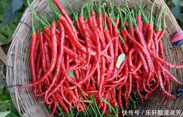 菜籽油|怎么做辣椒油,才能让香味完全发挥多数人不懂,怪不得味道发苦