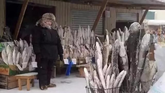 雪天|东北人雪天“晒”饺子，场面格外壮观，南方人不解不脏吗