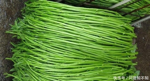 过瘾|炒空心菜时,提前做这一步,炒出来的空心菜碧绿脆口,比吃肉过瘾