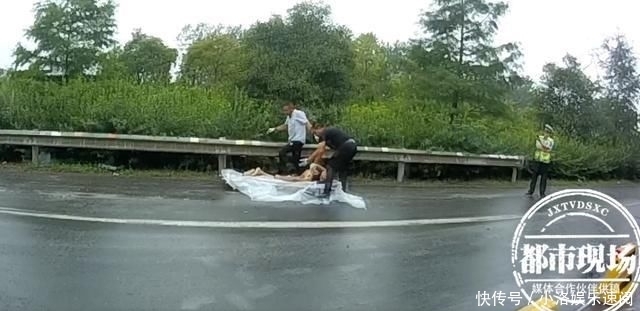  驾驶员|眼看要撞车，驾驶员跳车逃生却遇难，肇事司机：“不跳就没事了”