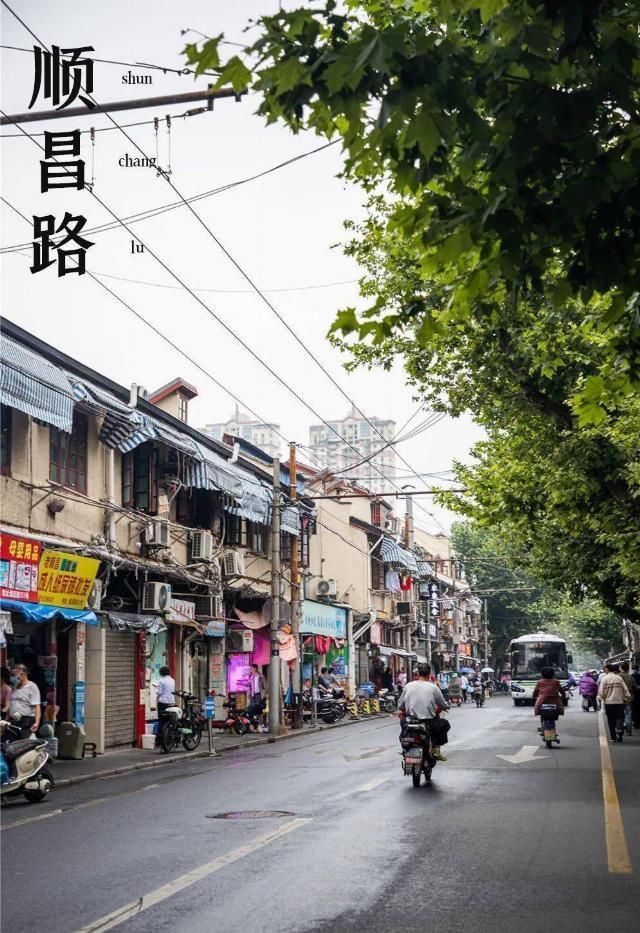 马路|回忆杀卢湾区超嗲百年马路,上海人永远记得你