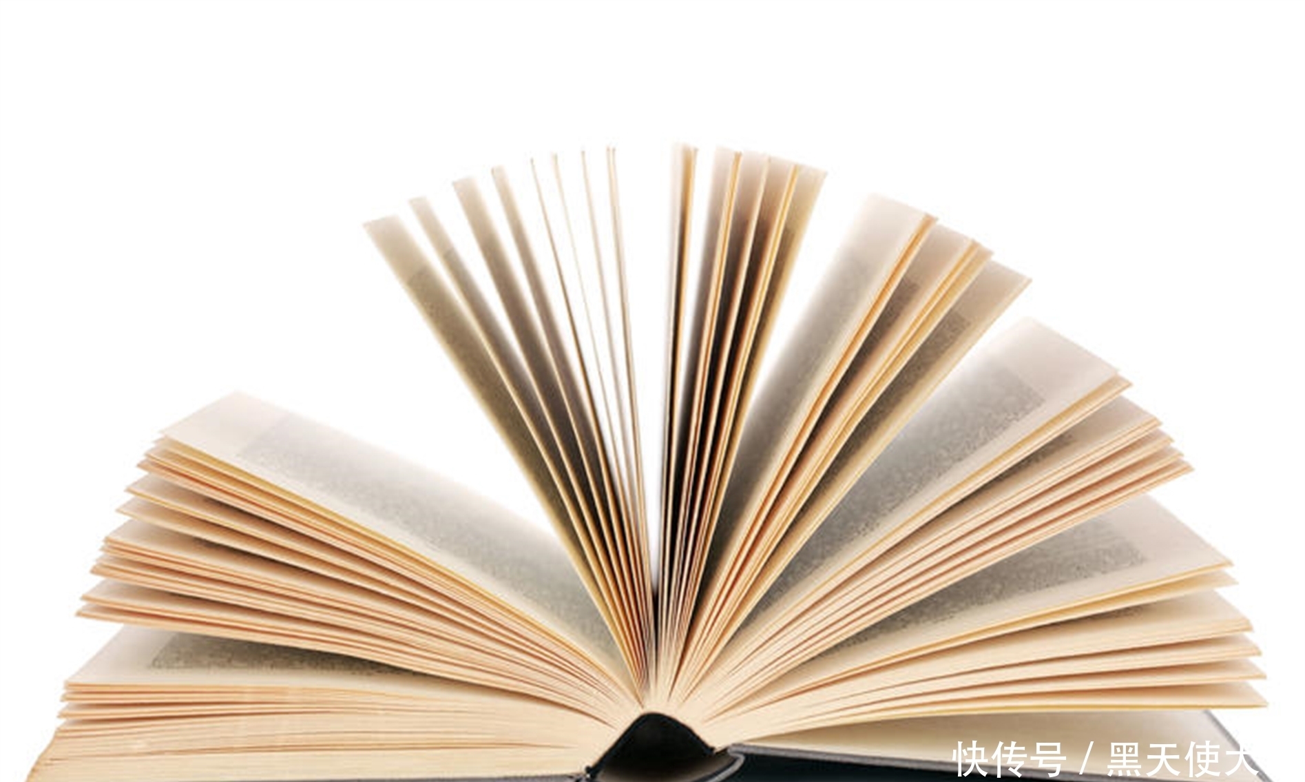 资本主义|韦伯与西方马克思主义中的技术批判理论