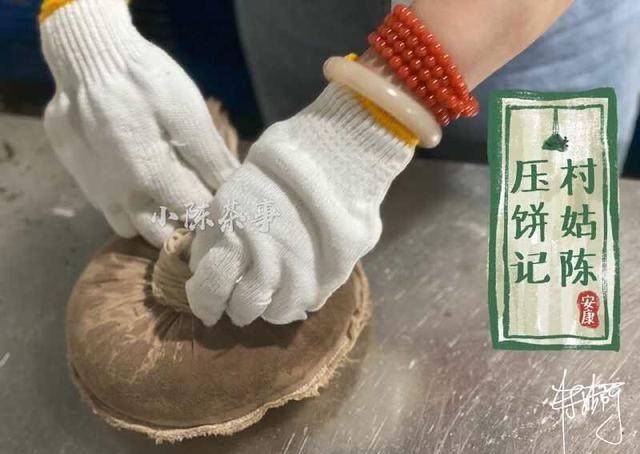 别一|白茶饼一撬就碎的秘密，你知道几个？别一撬碎就怪品质不好