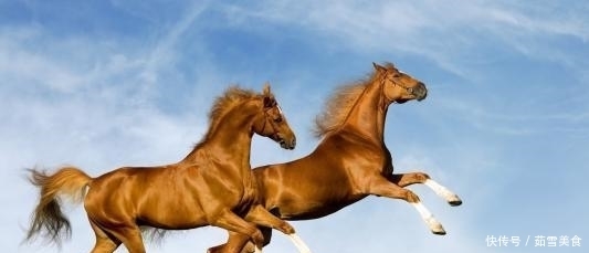 发问|外国人发问:你们中国人连狗肉都吃,为何这种肉却少有人吃呢?