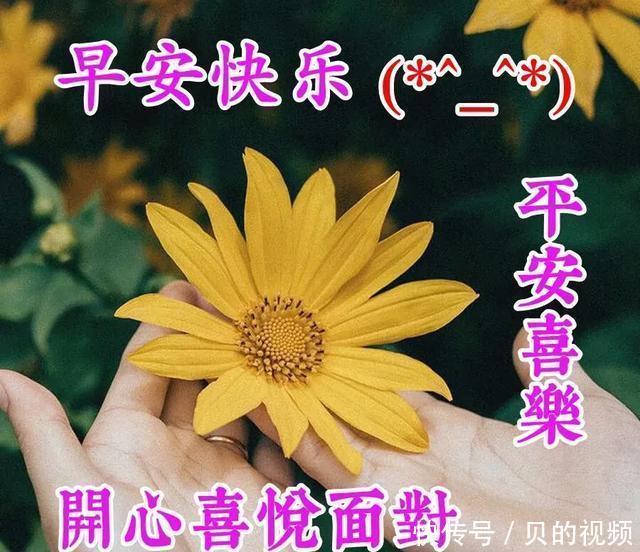 很大|世界很大、风景很美、机会很多、人生很短不要蜷缩在一小块阴影里