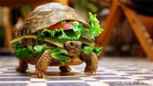 拖鞋|7种“奇葩”美食,蜂窝煤蛋糕,牛排拖鞋,图4你吃过吗