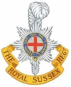 太爱|哈里和梅根爱子小阿奇即将迈出“第一步”太爱美国生活