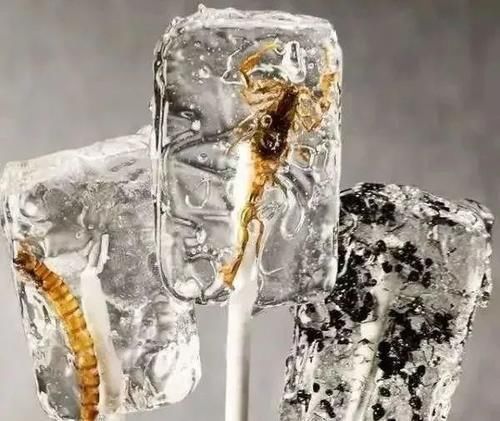 扔掉|看了就“难下嘴”的4种奇葩零食,图3让男生羞涩,图4吓得扔掉