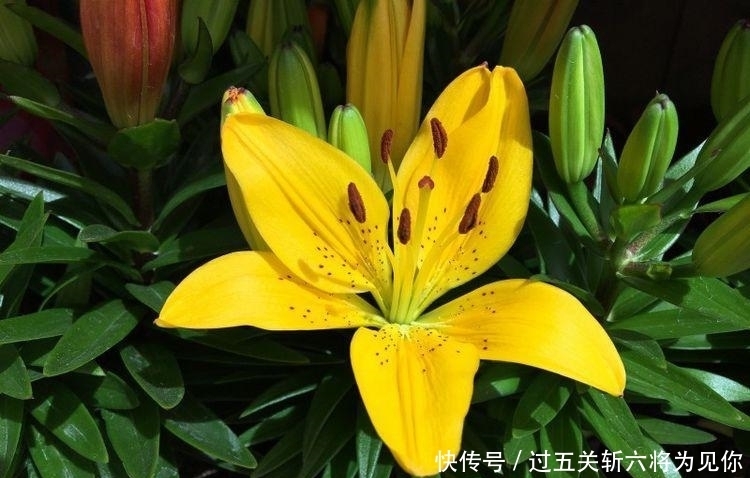未来|未来一个月财神送钱,贵人扶持,好运挡不住的四大生肖