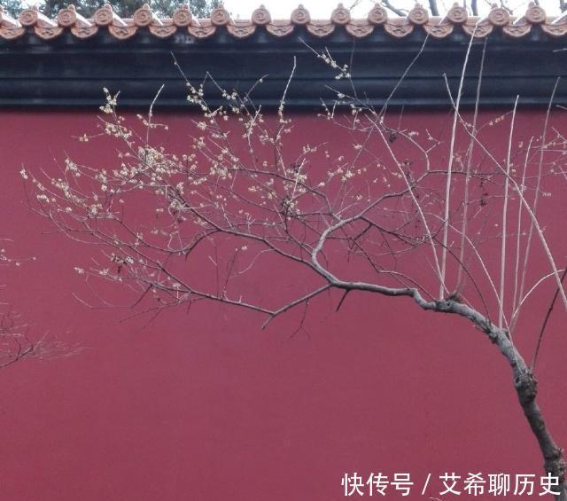得罪|就算不拿司机当亲信，也要以礼相待。领导得罪司机，后果很严重
