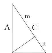 卢昌海|爱因斯坦的童年 | 卢昌海