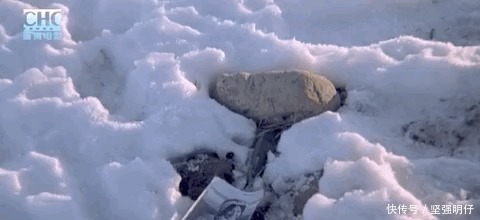 阿凡达|24年前,宁静拍过一部「阿凡达」