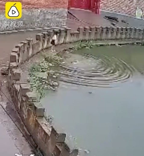  落水|5岁妹妹落水8岁姐姐跳水救，上演惊魂2分钟
