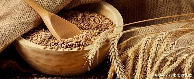  中筋|高筋面粉、低筋面粉、中筋面粉和全麦面粉之间到底有什么区别？