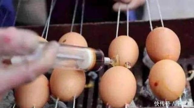 美食|大叔创新“鸡蛋串串”,一串5元日卖上千,豪车排队也来吃