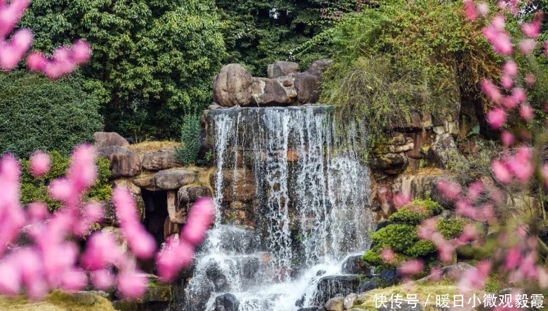 浅谈|浅谈秀丽东方IP对成都公园城市建设的借鉴作用