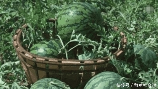 乾隆|乾隆在路边吃西瓜, 边吃边对瓜农赞不绝口, 走后却下令: 杀!