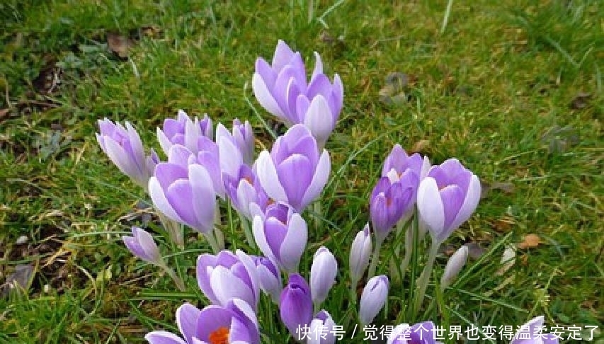 人生|元气满满的人生良言,精致走心,发朋友圈很不错