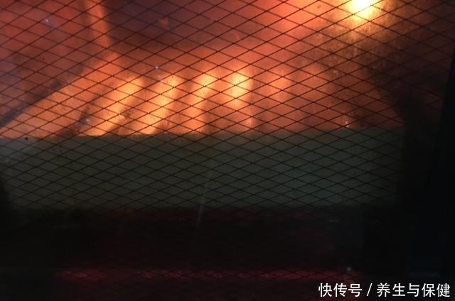 拉丝|如何做出松软拉丝的面包,试下用这个方法吧