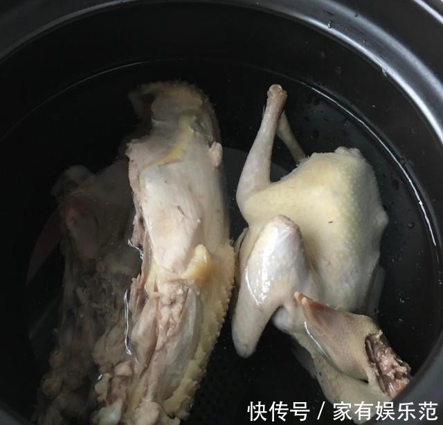 鸽子|清炖鸽子,营养滋补,清淡美味