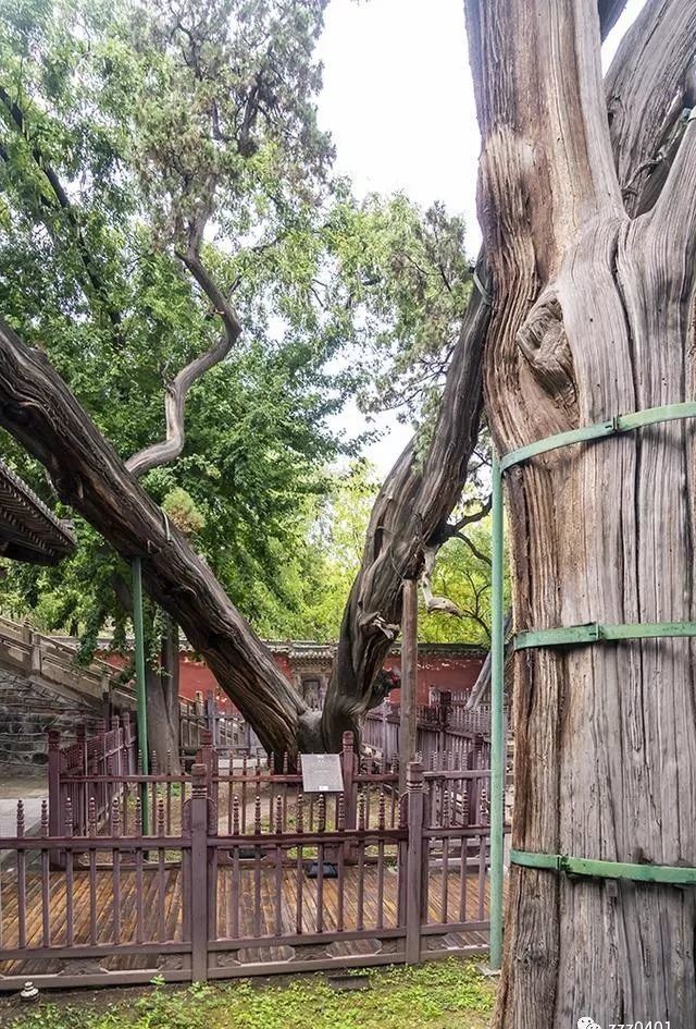公元|秋风起时走三晋之六:晋祠