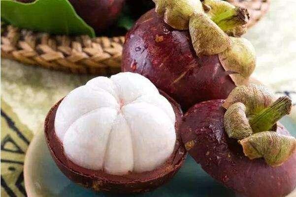 利尿|大热天的吃什么水果西瓜利尿、甜杏开胃,榴莲山竹搭配一起吃