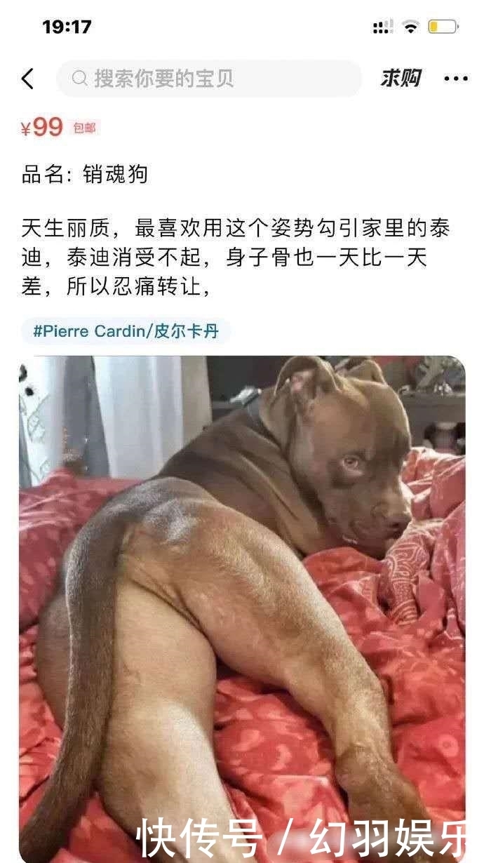 造作|笑死我了,大家看一下我的腿美嗎,來呀造作呀,反正有大把時光,