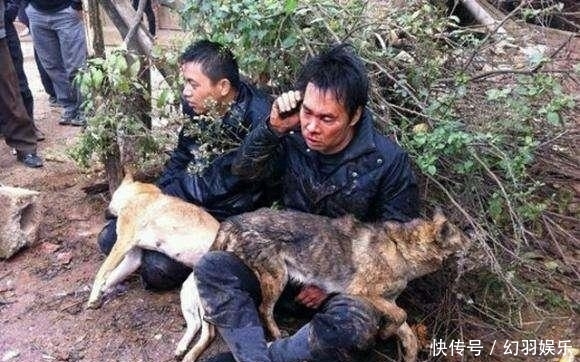  索赔|疑似偷狗者逃跑途中撞树死亡, 死者家属向追赶者索赔! 法院判决了