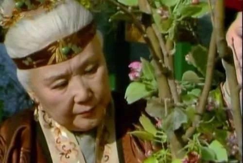 啥意思|王夫人说自己“天天坐在井里”,究竟啥意思?