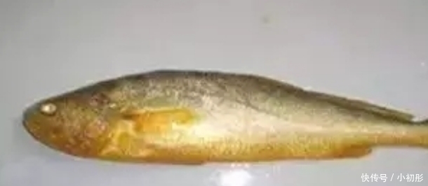 吃起来口感|菜市场最“坑”的3种鱼,很多人经常买,鱼贩子:我们都不吃