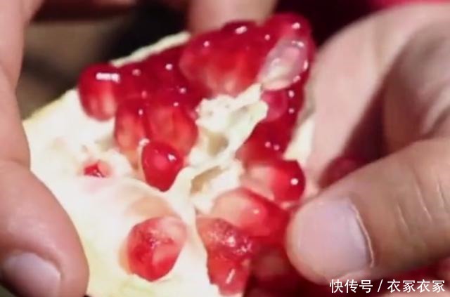吐籽|有人说石榴的营养全在石榴籽里,那吃石榴要不要吐籽
