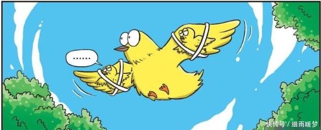 招牌|爆笑校园呆头卖老鼠药“包子受牵连”,开美食街“名字很雷人”