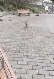 大妈|搞笑GIF:这打卡机太心机了!美女秒过,大妈打几百次却失败了