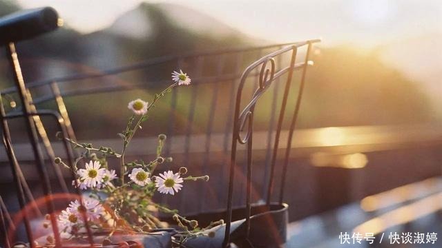 阳光|你曾给我的世界,带来阳光般的温暖