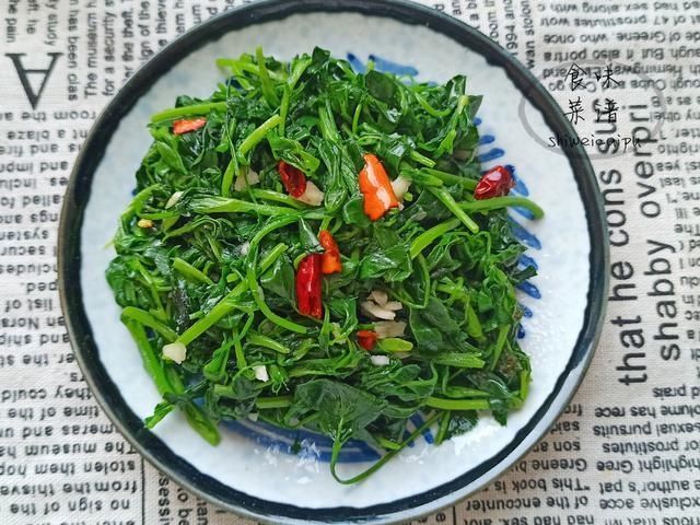 苜蓿菜|春天碰到这野菜别犹豫,我一买就是20斤,营养价值高,常吃身体好