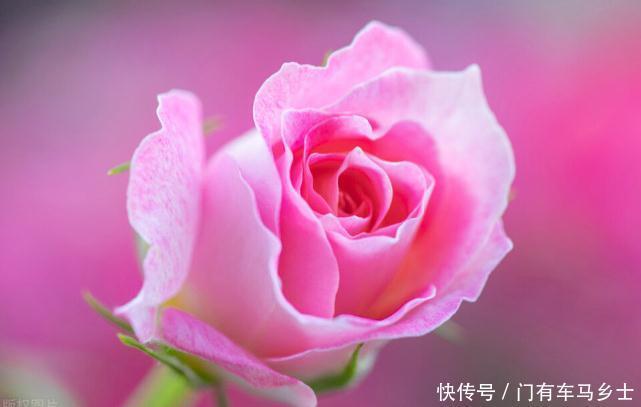 这件|这件事大包大揽,就是没原则,没底线,伤害的是自己