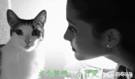 美食|外国人听到中国美食后的“脑洞画面”, 网友: 怕不是想笑死我?