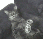 实在|GIF搞笑趣图: 好厉害的情侣, 这几个动作实在是高难度啊!