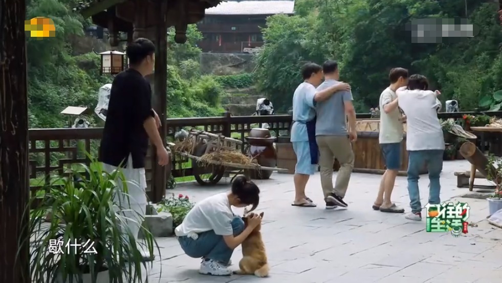 疏远|《向往的生活》尴尬了,王大陆没吃饱饭,张子枫疏远鹿晗