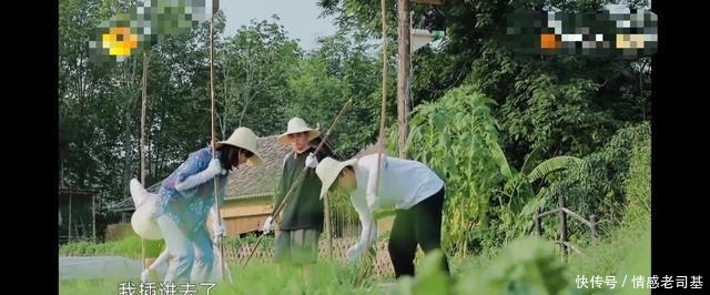 揭开|岳云鹏成《向往4》最“懒”嘉宾,却意外揭开节目的“遮羞布”