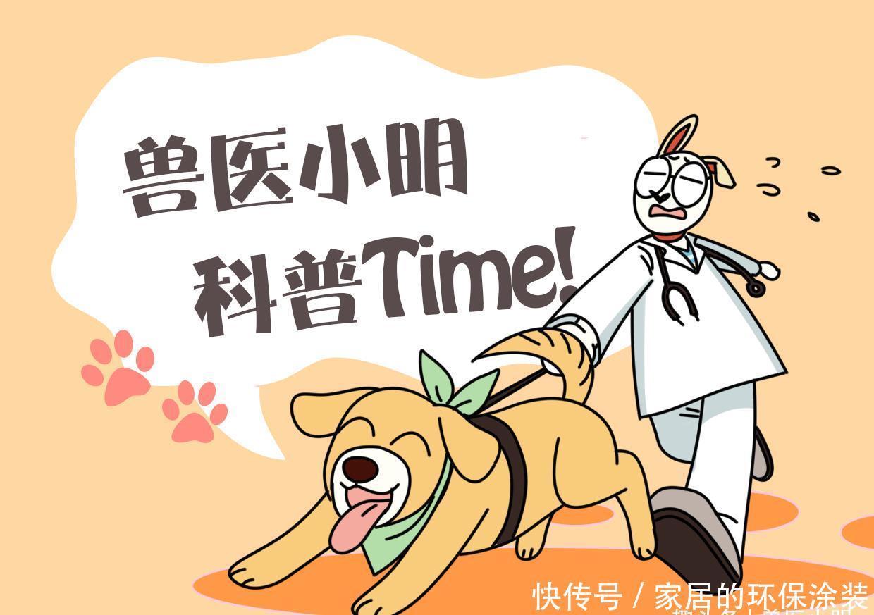 推车|远看老奶奶在推车,背上还趴着啥,凑近后:原来是只小可爱呀