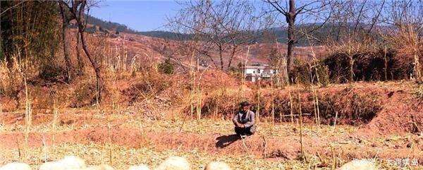 关键|17年前的草原悬案，案件步入死胡同，风水师一句话却成破案关键