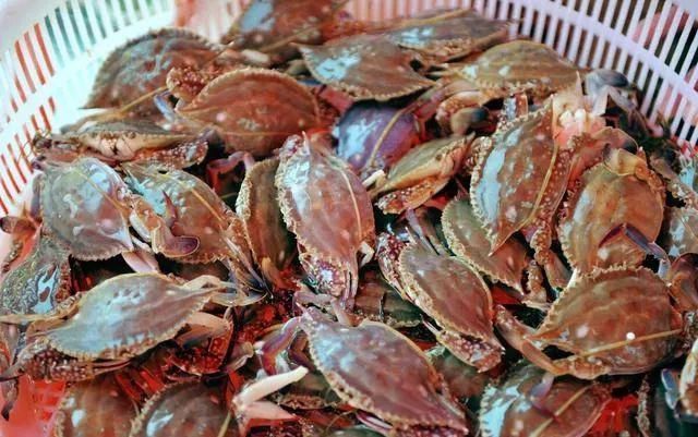 入味|蒸螃蟹时，直接上锅蒸就废了多加这1步，蟹肉鲜嫩入味不流黄